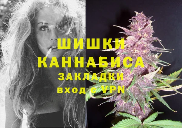 сатива Аркадак