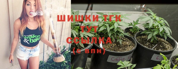 сатива Аркадак