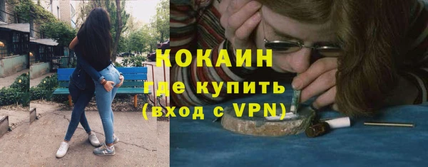 сатива Аркадак