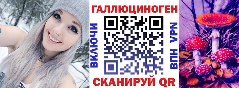 Псилоцибиновые грибы ЛСД  купить закладку  нарко площадка состав  Новая Ладога 